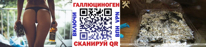 Псилоцибиновые грибы Psilocybe  наркотики  Сосновый Бор 